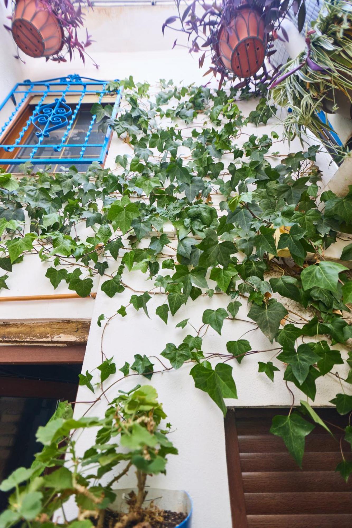 Casa El "Tablao De Las Almendras" Granada Eksteriør bilde